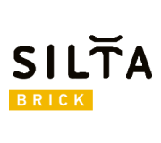 Облицювальна та цокольна плитка Silta Brick